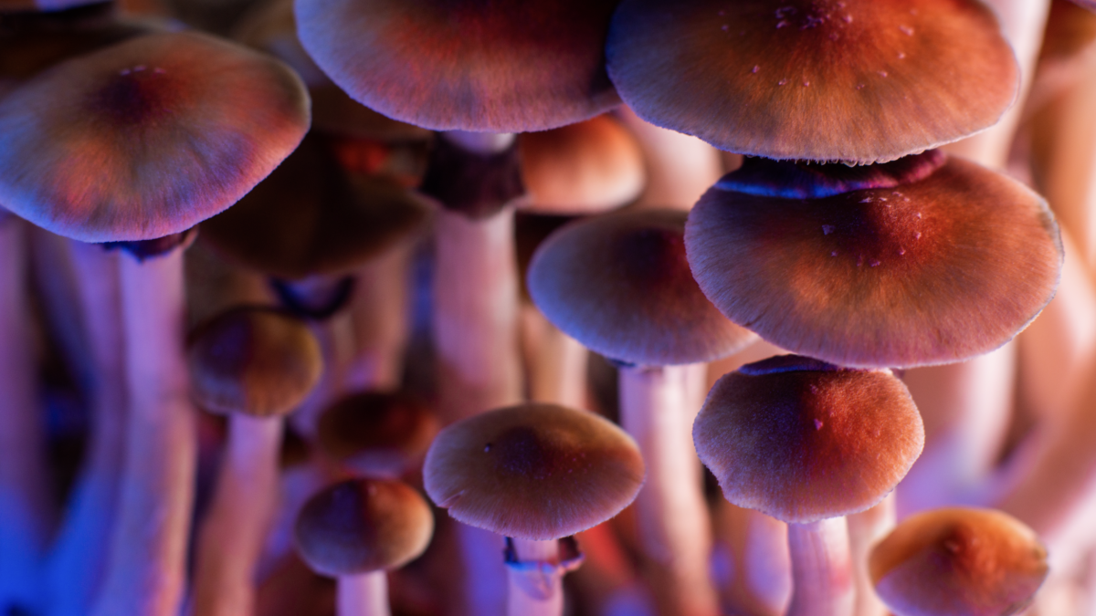 Screenshot 2023 04 24 at 09 51 05