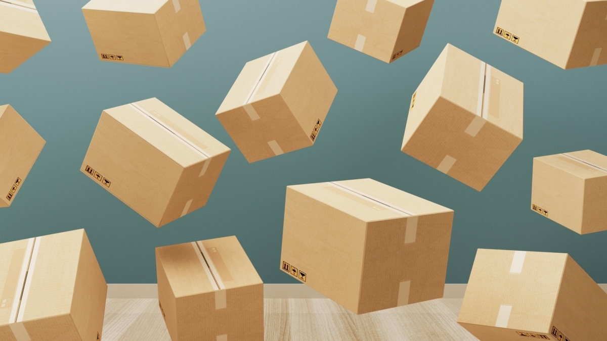 Package manager 1