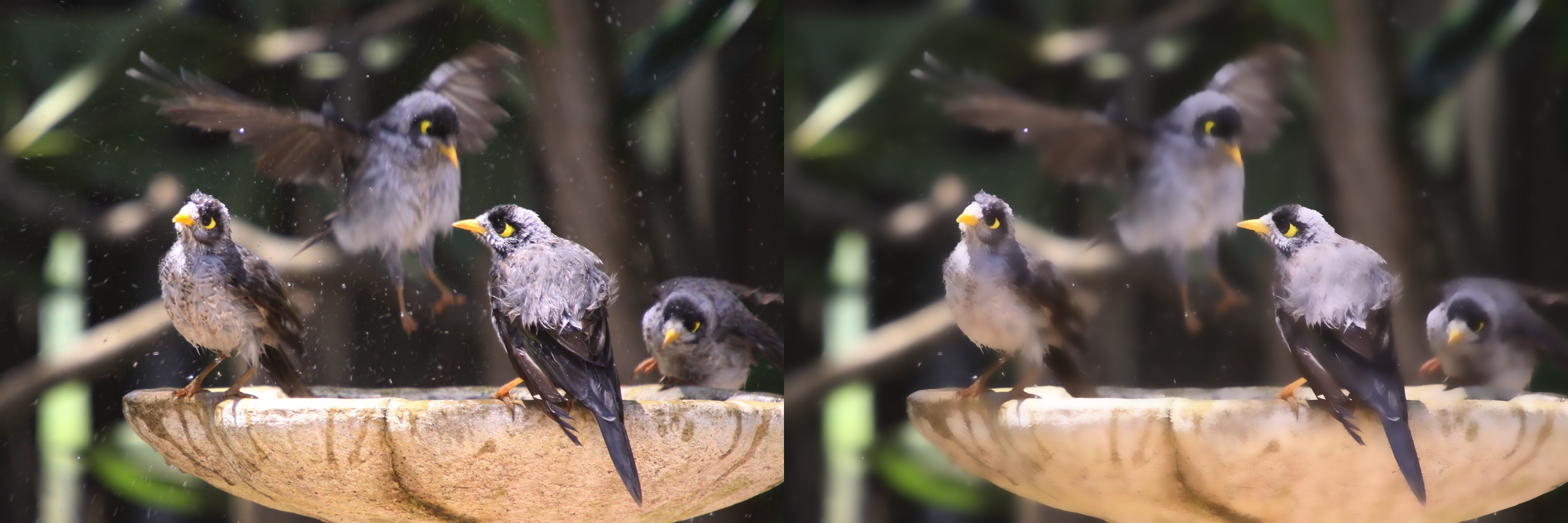 A little bit of photoshop gnat for cuda banner