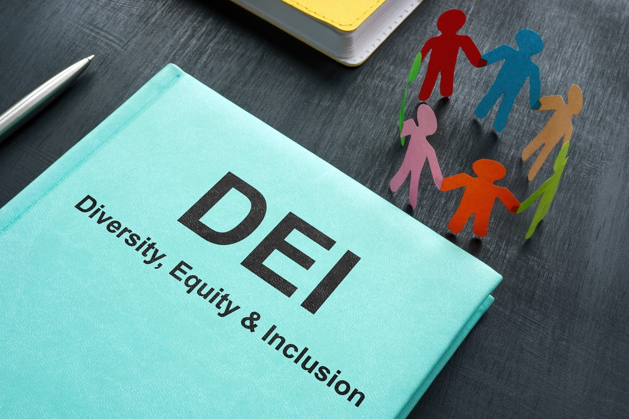 Inclusion diversity equality