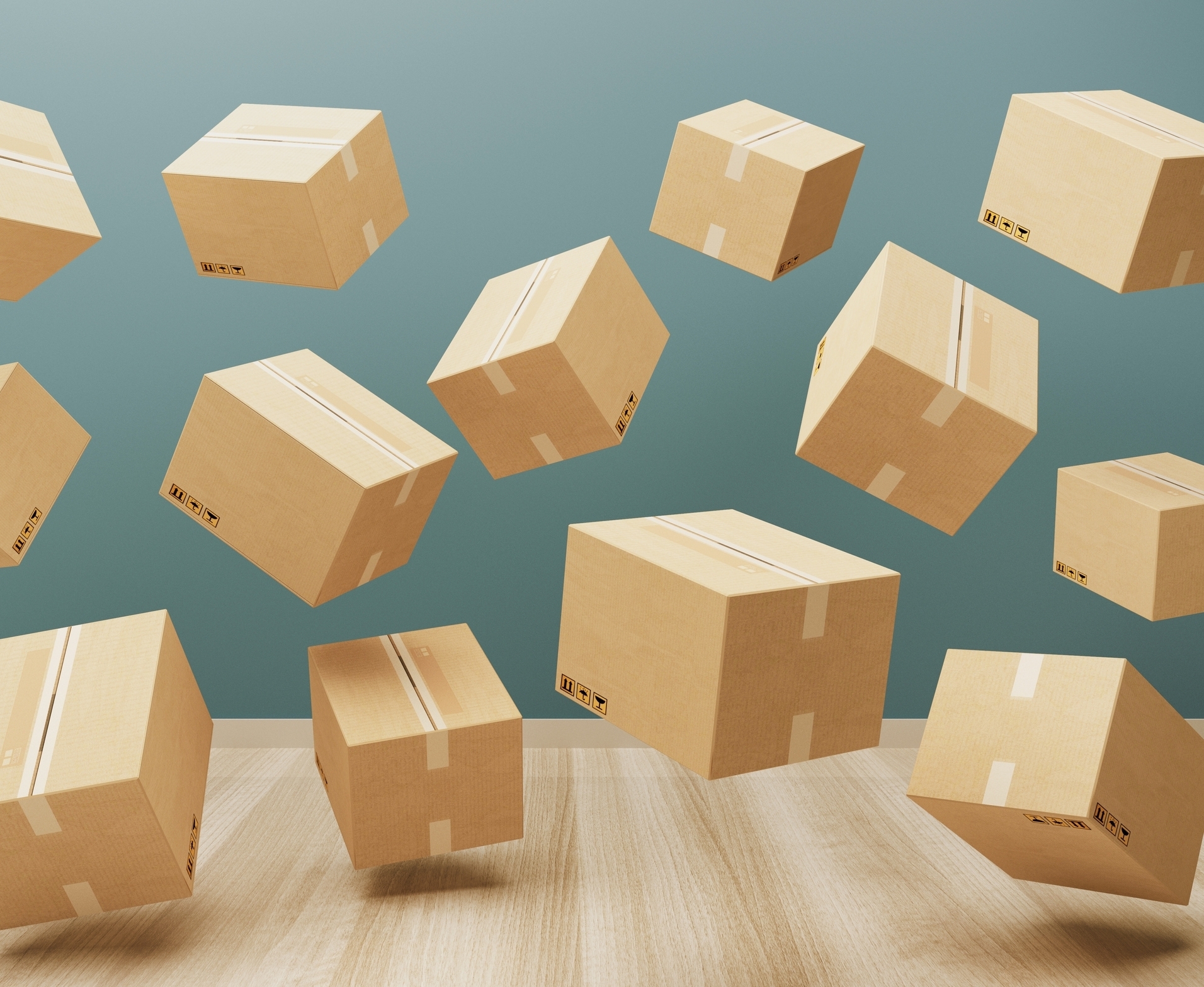 Package manager 1