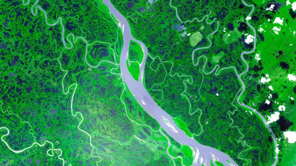 The Mackenzie River in the Northwest Territories, Canada. Original from NASA. Digitally enhanced by rawpixel.