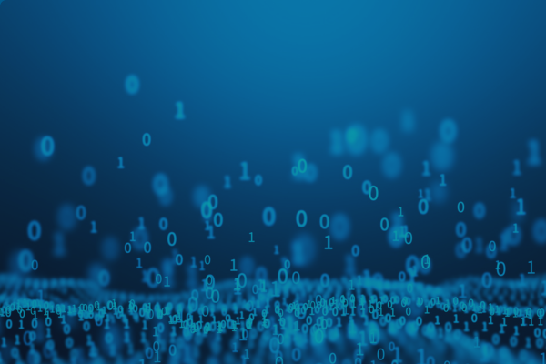 Software development