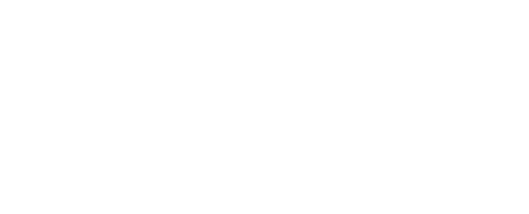 Mentorship Services