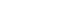 Autoliv white