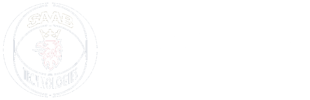 Saab white cutout