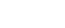 Stoneridge white